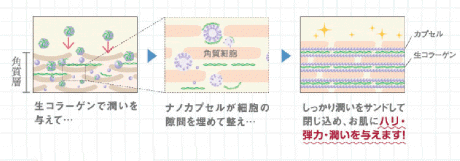 ハリ・弾力・潤いの３つの効果を「すぐに」実感