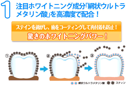 網状ウルトラメタリ酸は、ステインを剥がしエナメル質をコーティングするので、歯にステインが再付着するのを長時間防止します。